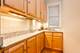 1538 W Wrightwood Unit 1, Chicago, IL 60614
