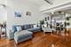 1530 S State Unit 1128, Chicago, IL 60605