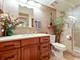 5 W Central Unit 512, Mount Prospect, IL 60056