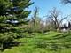 8305 Kearney, Downers Grove, IL 60516