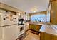 1100 S Monitor Unit 2, Chicago, IL 60644