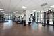 1122 N Clark Unit 1709, Chicago, IL 60610