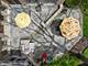 2839 Woodmere, Northbrook, IL 60062