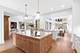 532 W North, Hinsdale, IL 60521