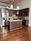 2545 S Dearborn Unit 513, Chicago, IL 60616