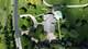 30W010 Smith, West Chicago, IL 60185