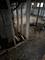 128 W 115th, Chicago, IL 60628