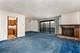 8245 Willow Unit 43D, Palos Hills, IL 60465
