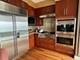 1211 S Prairie Unit 6202, Chicago, IL 60605