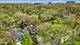 705 Hunter, Glenview, IL 60025