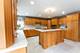 18242 Cork, Tinley Park, IL 60477