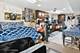 5814 N Campbell, Chicago, IL 60659