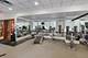 849 N Franklin Unit 920, Chicago, IL 60654