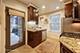 1046 W Balmoral Unit 1D, Chicago, IL 60640