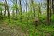 29W725 Army Trail, Bartlett, IL 60103