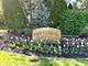 574 Aberdeen, Frankfort, IL 60423