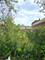 2029 W 17th, Chicago, IL 60608