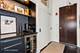 550 N St Clair Unit 1702, Chicago, IL 60611