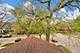 4801 S Kimbark, Chicago, IL 60615