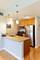 1400 S Michigan Unit 708, Chicago, IL 60605