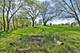 2548 N State Route 23, Ottawa, IL 61350