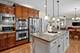 1021 Fire Fox, St. Charles, IL 60174