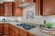 1021 Fire Fox, St. Charles, IL 60174