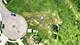 112 Gloria, Elgin, IL 60120