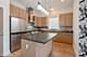 456 E Oakwood Unit 2, Chicago, IL 60653