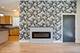 456 E Oakwood Unit 2, Chicago, IL 60653