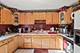 21220 Silktree, Plainfield, IL 60544