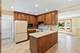 520 S Rammer, Arlington Heights, IL 60004