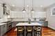 1853 W Race, Chicago, IL 60622