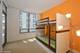 600 N Lake Shore Unit 1509, Chicago, IL 60611