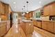 195 Cold Spring, Barrington, IL 60010