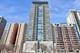 250 E Pearson Unit 1306, Chicago, IL 60611
