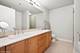 250 E Pearson Unit 1306, Chicago, IL 60611