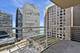 250 E Pearson Unit 1306, Chicago, IL 60611