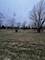 4816 W Roberts Ridge, Monee, IL 60449