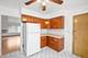 1115 N Harlem Unit 2C, Oak Park, IL 60302