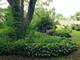 517 S Hebbard, Joliet, IL 60433