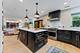 428 S Hillside, Elmhurst, IL 60126