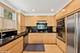 58 W Schiller, Chicago, IL 60610