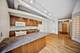 811 S Lytle Unit 101, Chicago, IL 60607