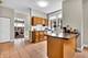 1347 E Hyde Park, Chicago, IL 60615