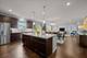 729 Hamilton, South Elgin, IL 60177