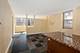 253 E Delaware Unit 13H, Chicago, IL 60611