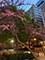 727 S Dearborn Unit 311, Chicago, IL 60605