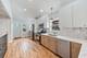 9037 S Paxton, Chicago, IL 60617