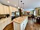 1132 Georgias, New Lenox, IL 60451